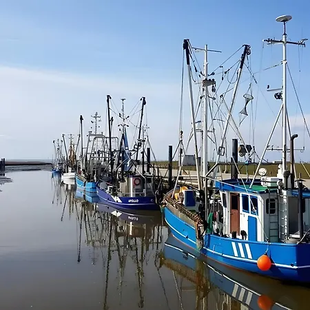 Wurster Nordseekueste * Времен